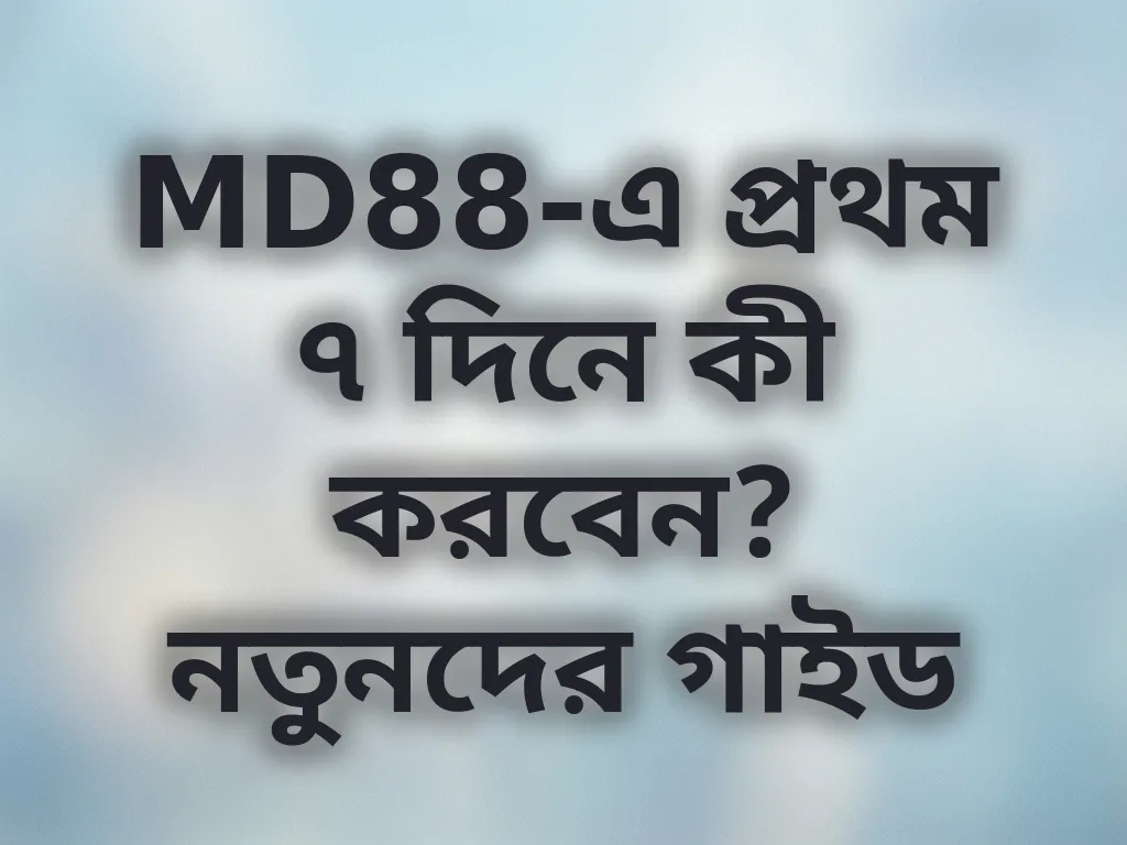 নতুনদের গাইড